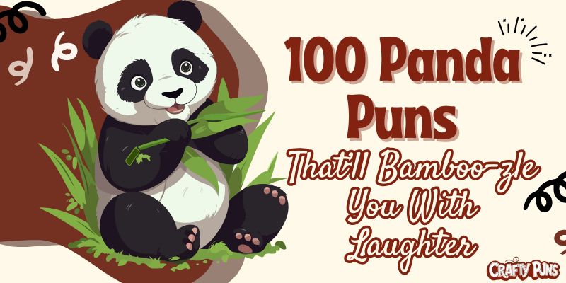 100 Panda Puns That’ll Bamboo-zle You With Laughter