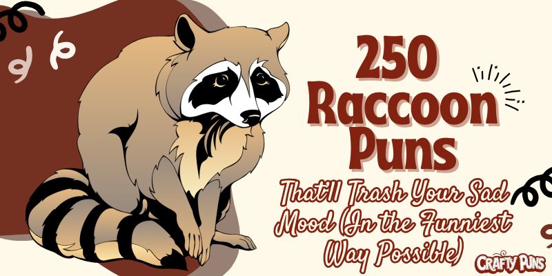 250 Raccoon Puns That’ll Trash Your Sad Mood (In the Funniest Way Possible)