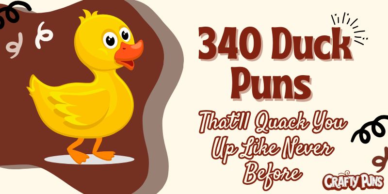 340 Duck Puns That’ll Quack You Up Like Never Before