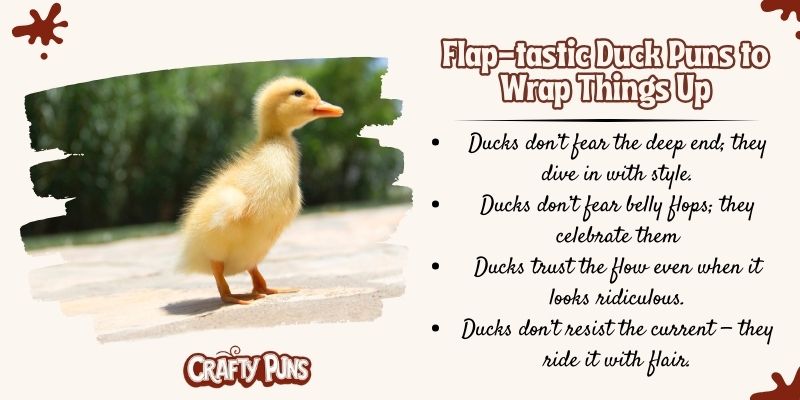 Flap-tastic Duck Puns to Wrap Things Up