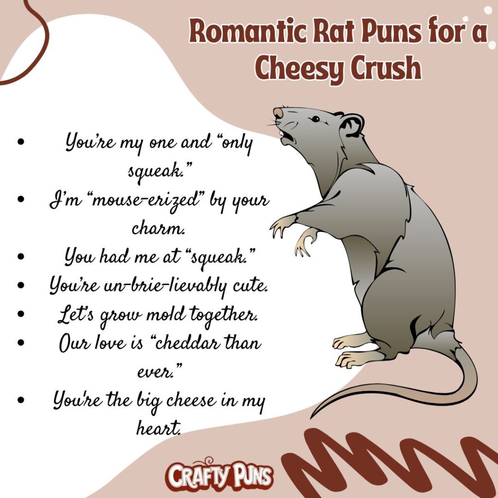 Romantic Rat Puns for a Cheesy Crush