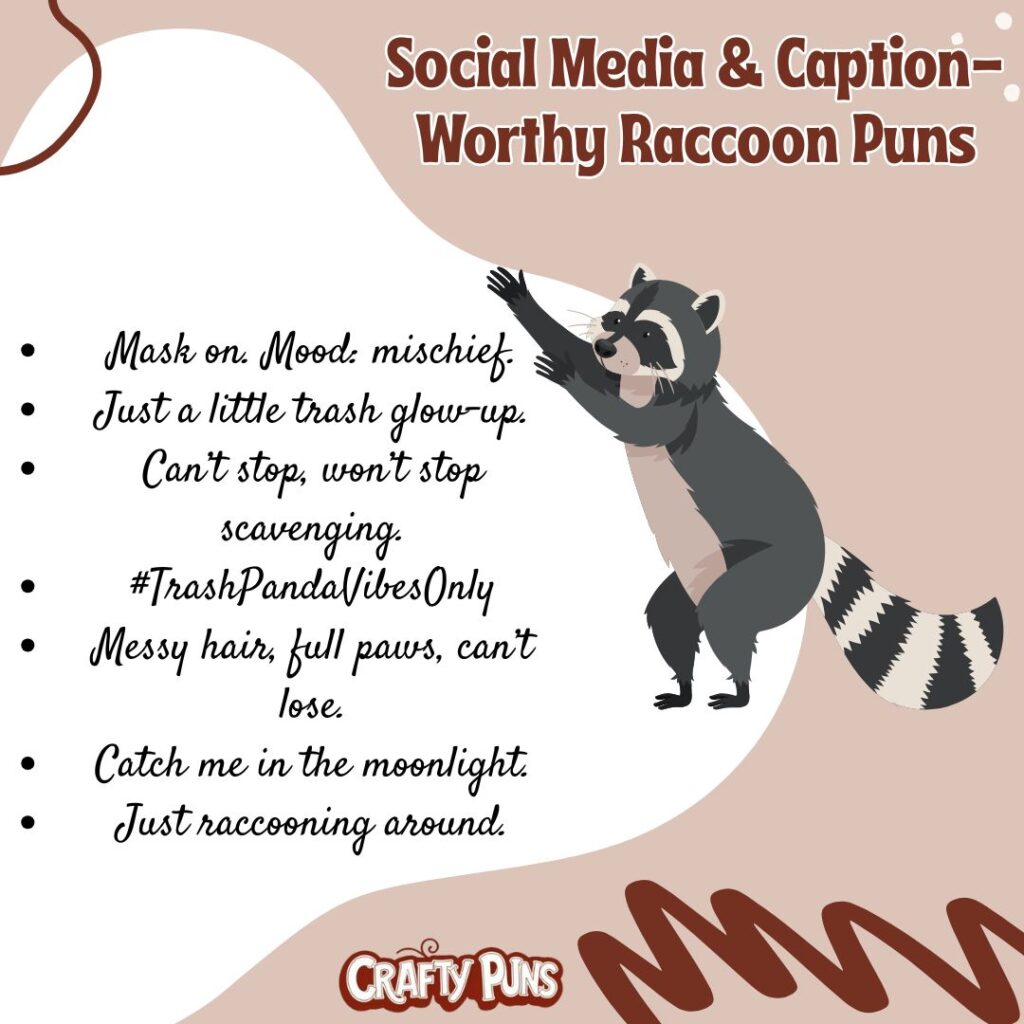 Social Media & Caption-Worthy Raccoon Puns
