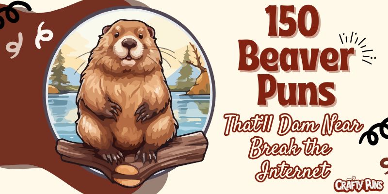 150 Beaver Puns That’ll Dam Near Break the Internet