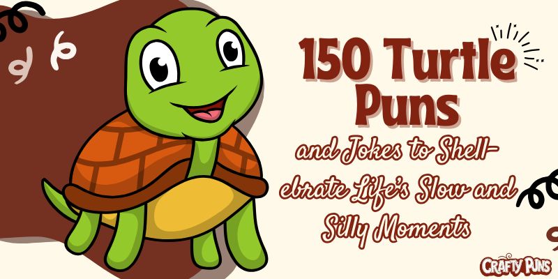 150 Turtle Puns and Jokes to Shell-ebrate Life’s Slow and Silly Moments