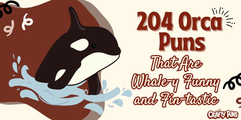 204 Orca Puns That Are Whale-y Funny and Fin-tastic