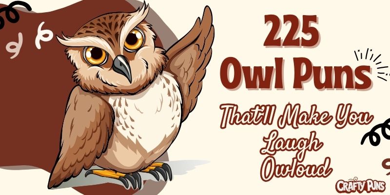 225 Owl Puns That’ll Make You Laugh Owloud