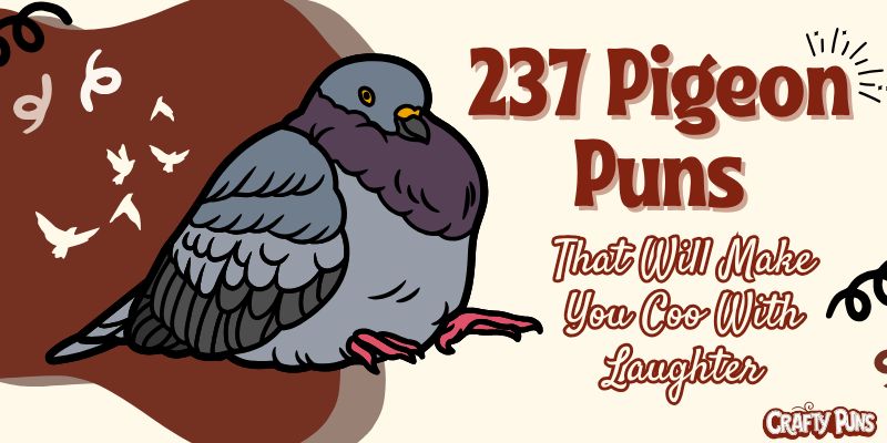 237 Pigeon Puns That Will Make You Coo With Laughter