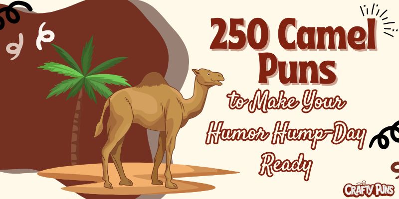 250 Camel Puns to Make Your Humor Hump-Day Ready