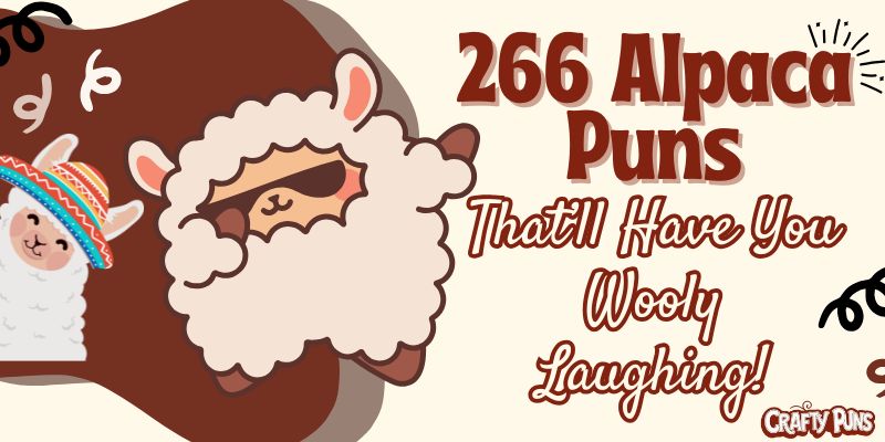 266 Alpaca Puns That’ll Have You Wooly Laughing!