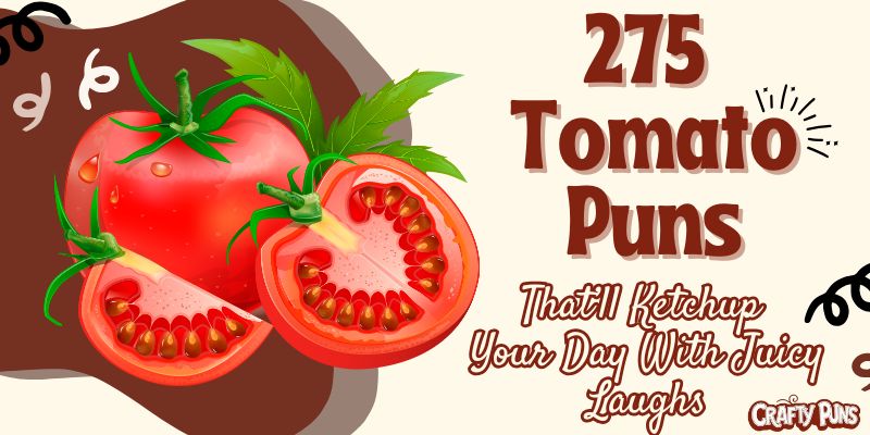 275 Tomato Puns That’ll Ketchup Your Day With Juicy Laughs