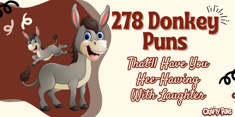 278 Donkey Puns That’ll Have You Hee-Hawing With Laughter