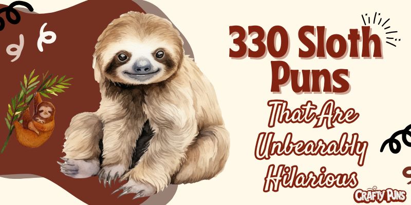 330 Sloth Puns That Are Unbearably Hilarious