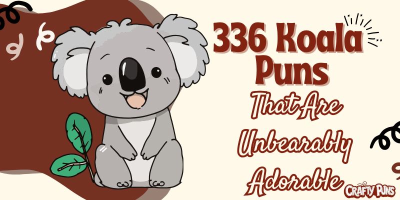336 Koala Puns That Are Unbearably Adorable