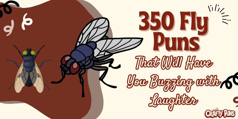 350 Fly Puns That Will Have You Buzzing with Laughter