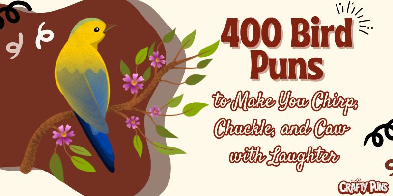 400 Bird Puns to Make You Chirp, Chuckle, and Caw with Laughter