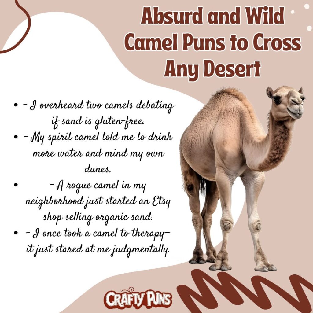 Absurd and Wild Camel Puns to Cross Any Desert