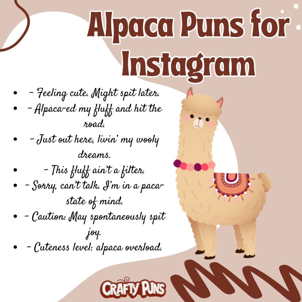 Alpaca Puns for Instagram