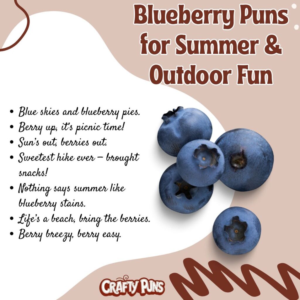 Blueberry Puns for Summer & Outdoor Fun