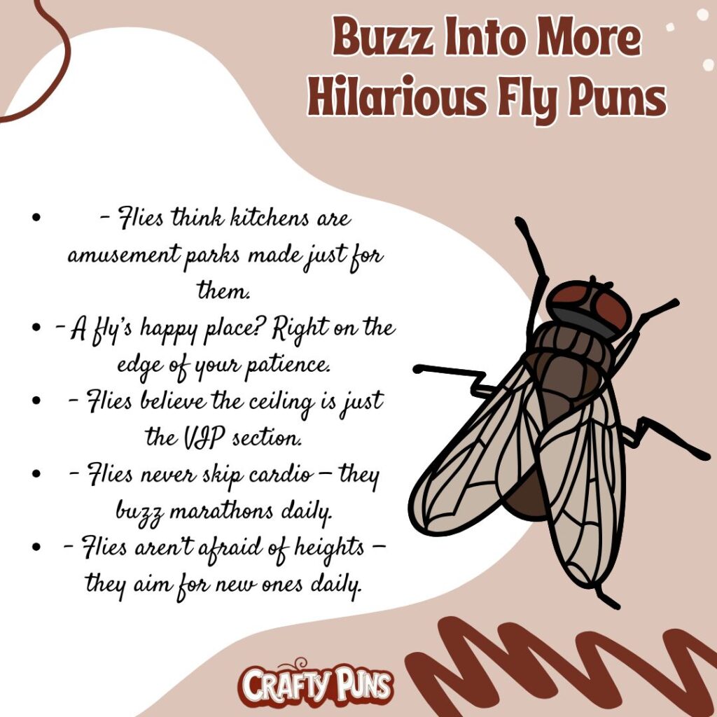 Buzz Into More Hilarious Fly Puns