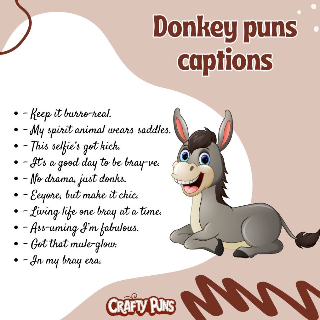 Donkey puns captions