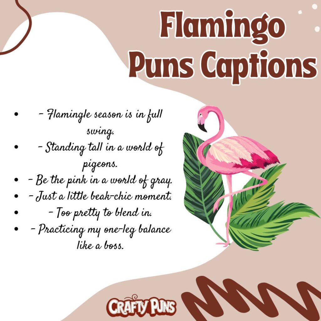 Flamingo Puns Captions