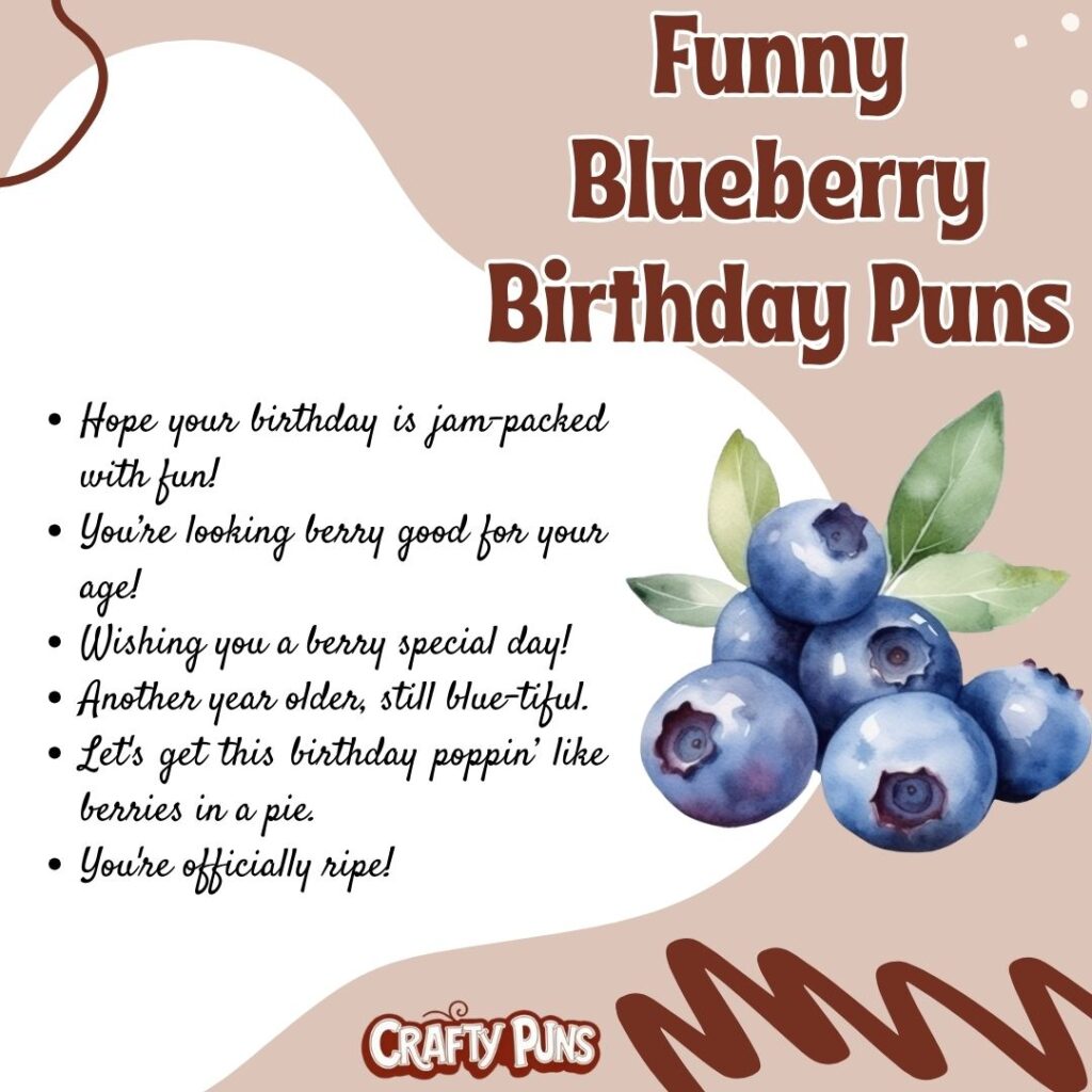 Funny Blueberry Birthday Puns