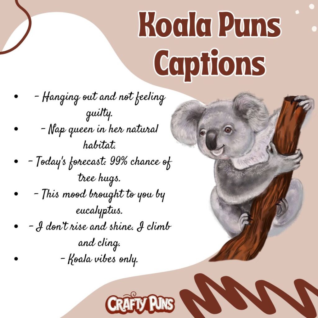 Koala Puns Captions