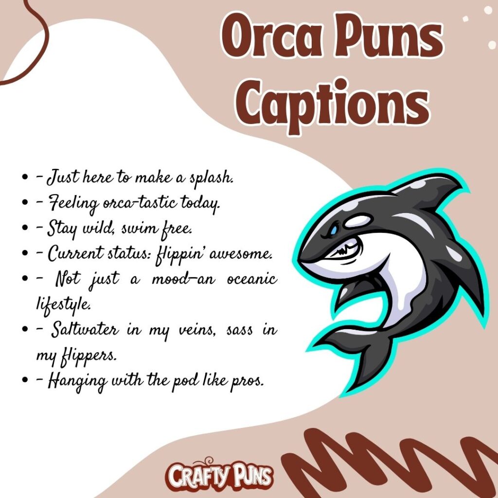 Orca Puns Captions