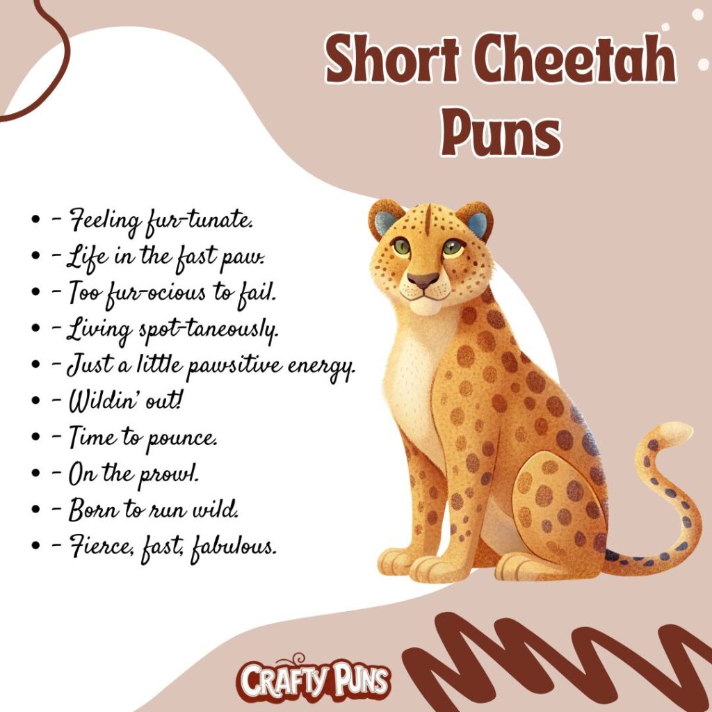 Short Cheetah Puns