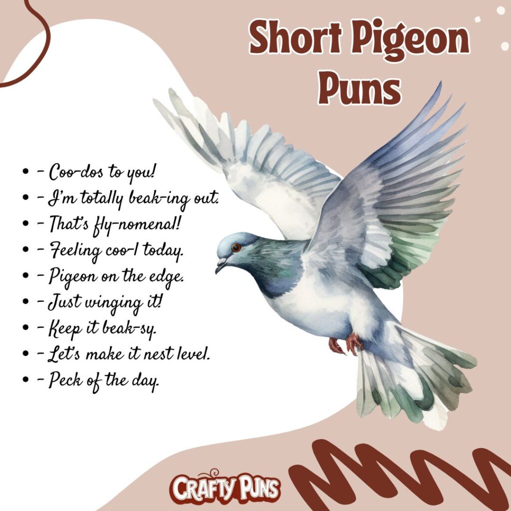 Short Pigeon Puns