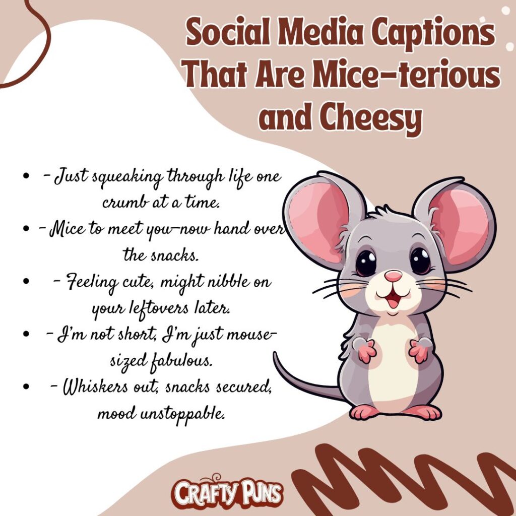 Social Media Captions That Are Mice-terious and Cheesy