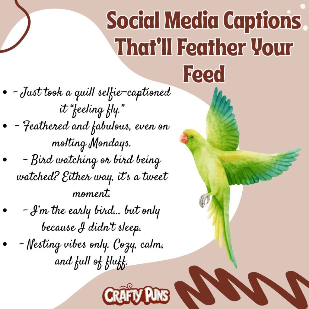 Social Media Captions That’ll Feather Your Feed