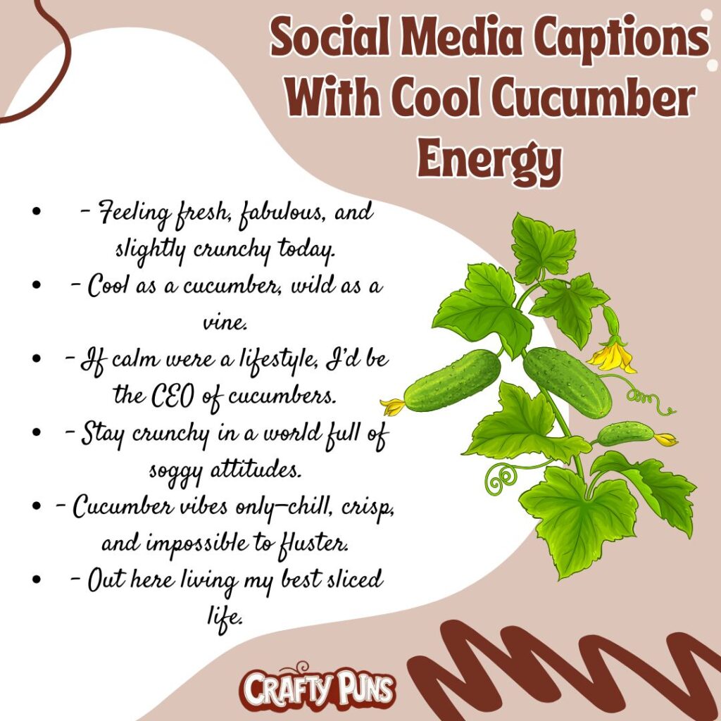 Social Media Captions With Cool Cucumber Energy