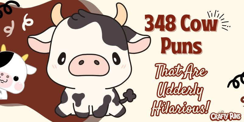 348 Cow Puns That Are Udderly Hilarious!