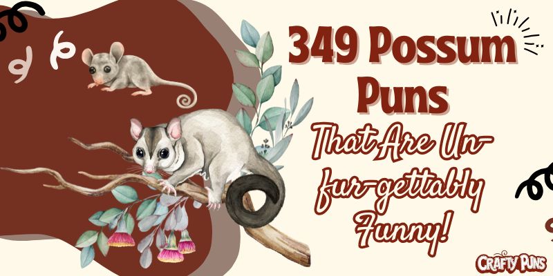 349 Possum Puns That Are Un-fur-gettably Funny!