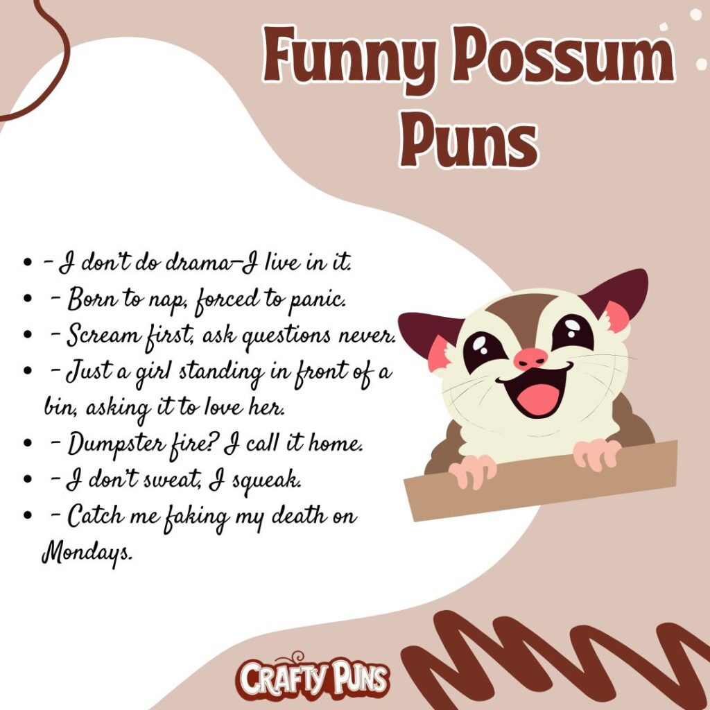 Funny Possum Puns