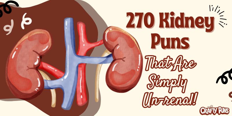 270 Kidney Puns That Are Simply Un-renal!