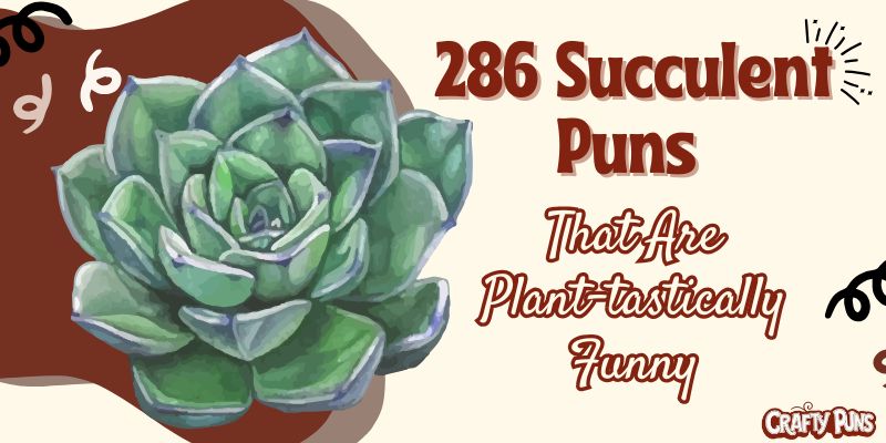 286 Succulent Puns That Are Plant-tastically Funny