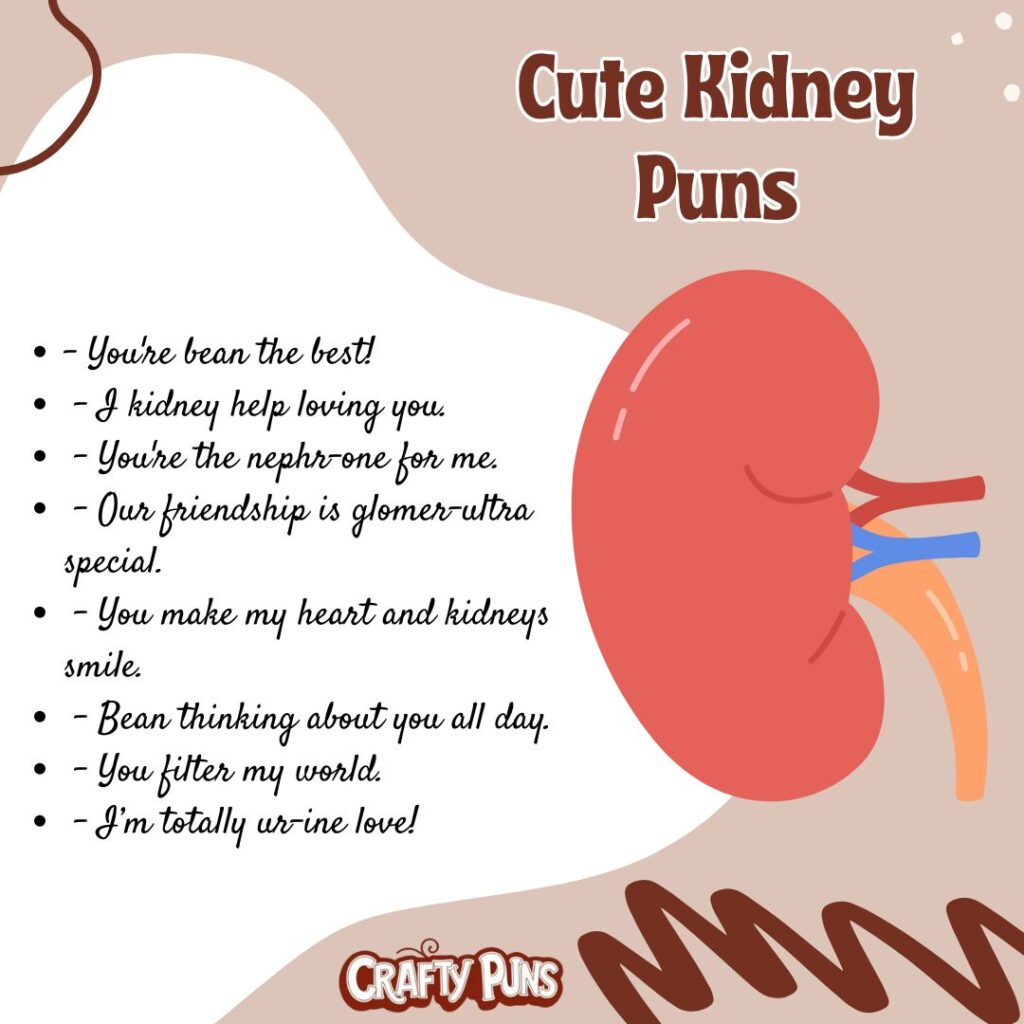 Cute Kidney Puns