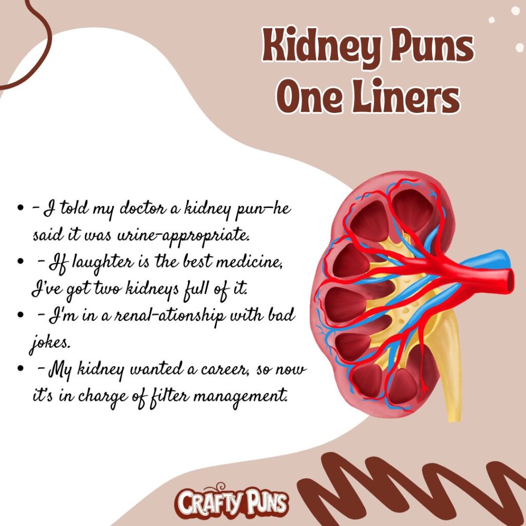 Kidney Puns One Liners