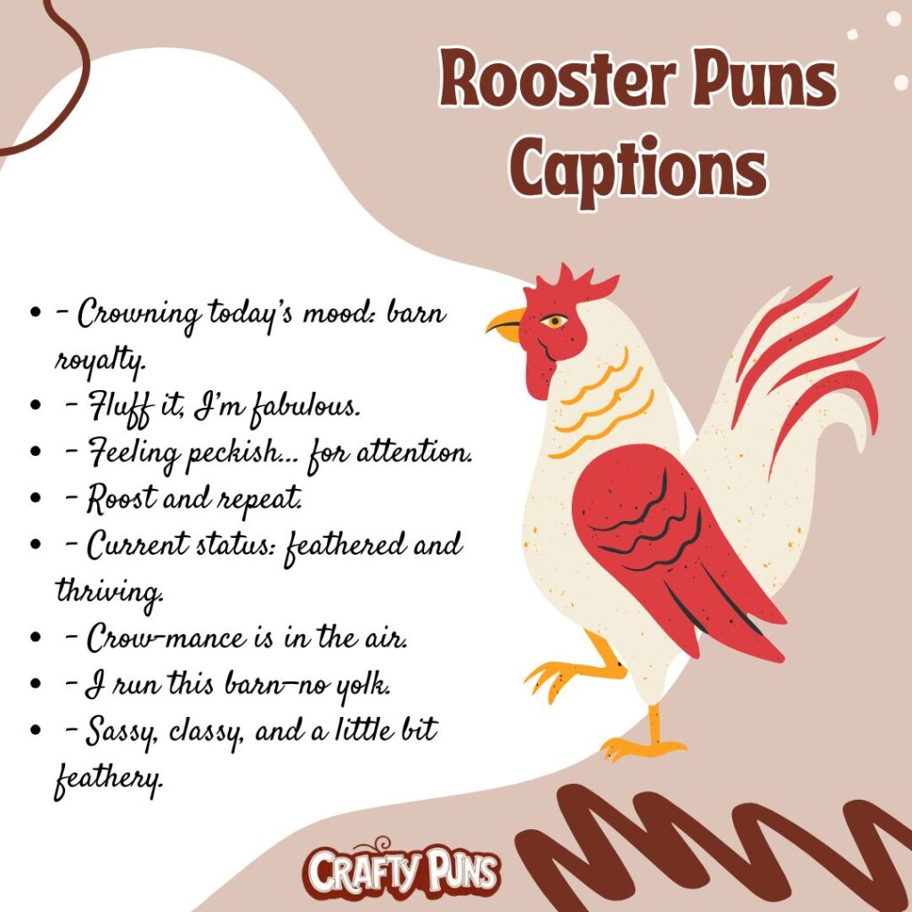 Rooster Puns Captions