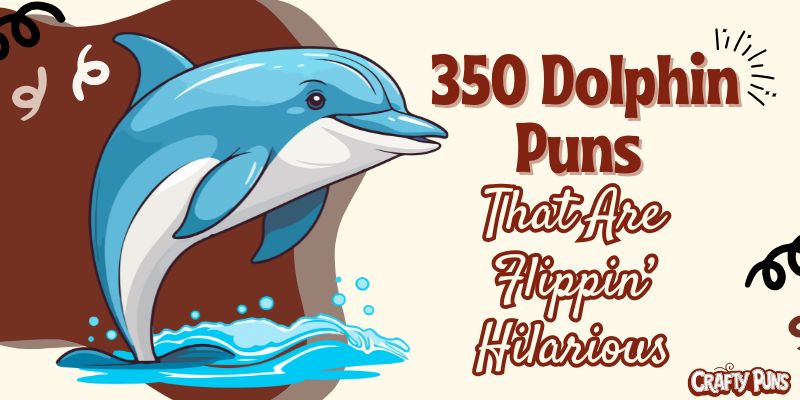 350 Dolphin Puns That Are Flippin’ Hilarious