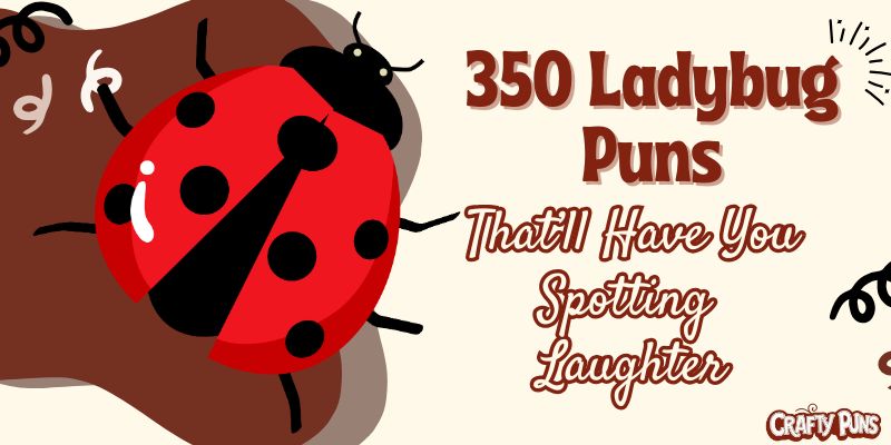 350 Ladybug Puns That’ll Have You Spotting Laughter