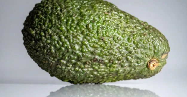 High-Protein Snacks Are Dominating 2025’s Nutrition Trends