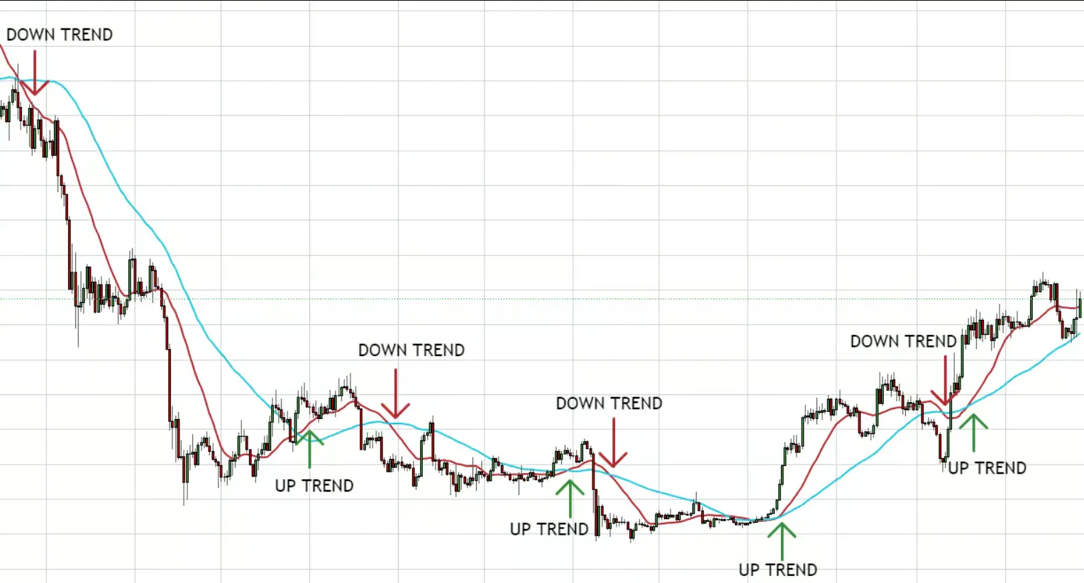 Complete Guide to Trend Following Strategy on CryptoRobotics Platform