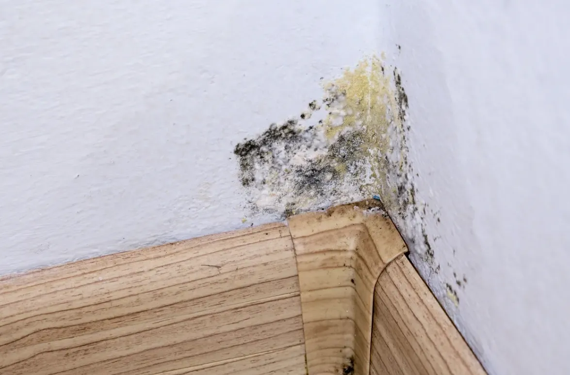 How Does Water Damage Affect Structural Integrity