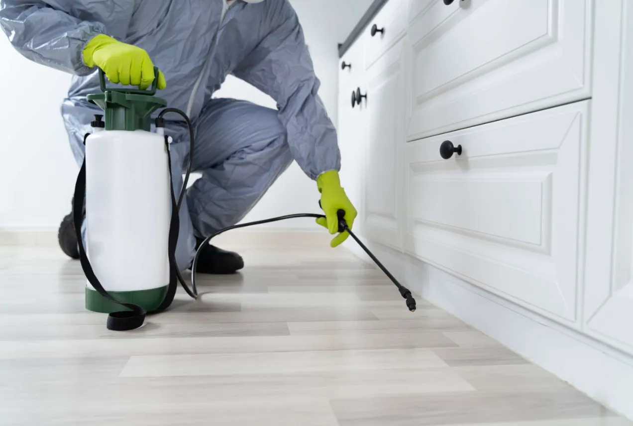 Important Preparations Homeowners Should Complete Before Contacting Professional Exterminators for Service