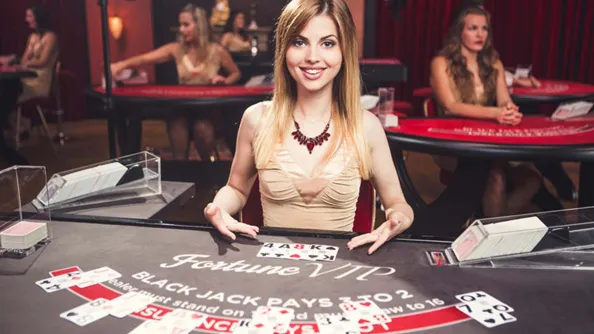 Live Dealer Casinos The Future of Online Gambling