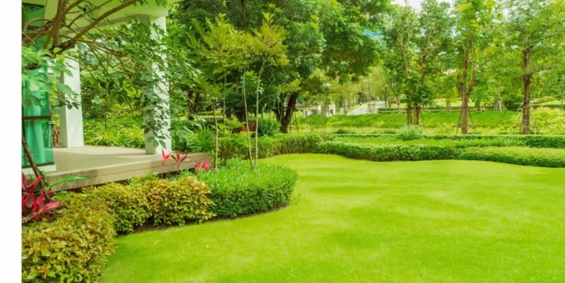 Your Guide to a Lush Garden with Smart Landscaping