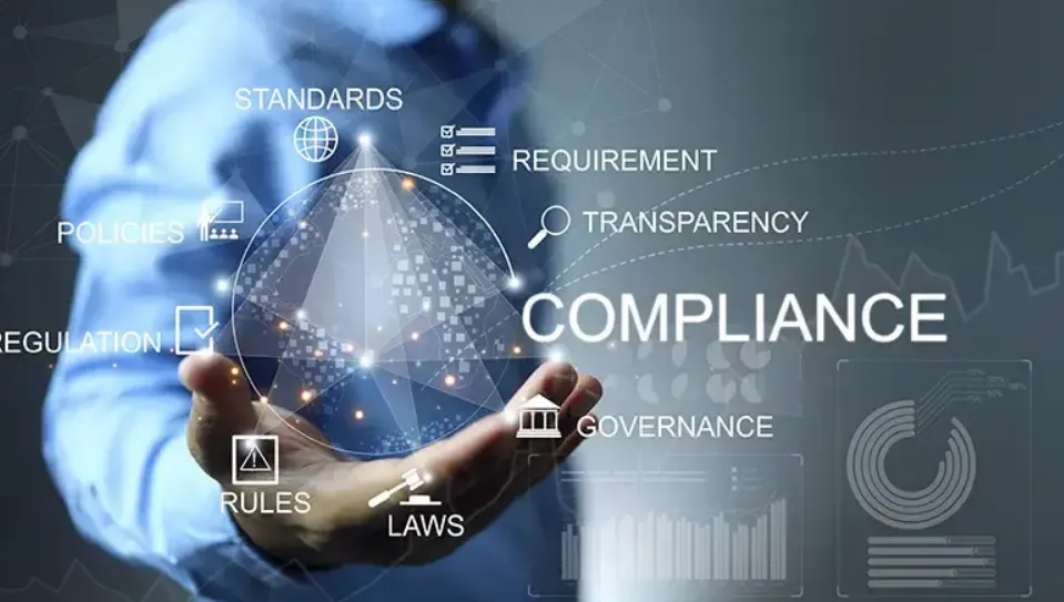 What Is Company Formation and Why It Matters for Global Entrepreneurs